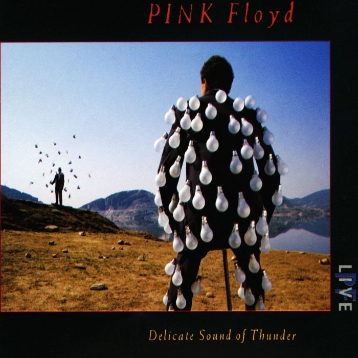 Portada de DElicate Sound of Thunder de Pink Floyd