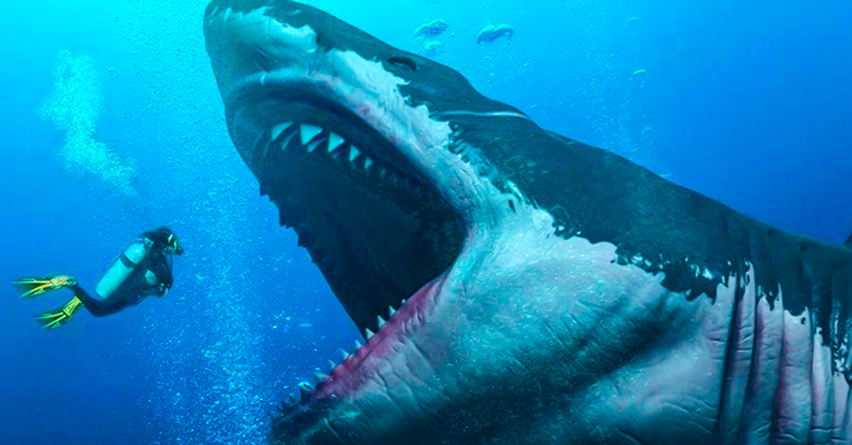Descubren tamaño real de megalodón, el tiburón gigante