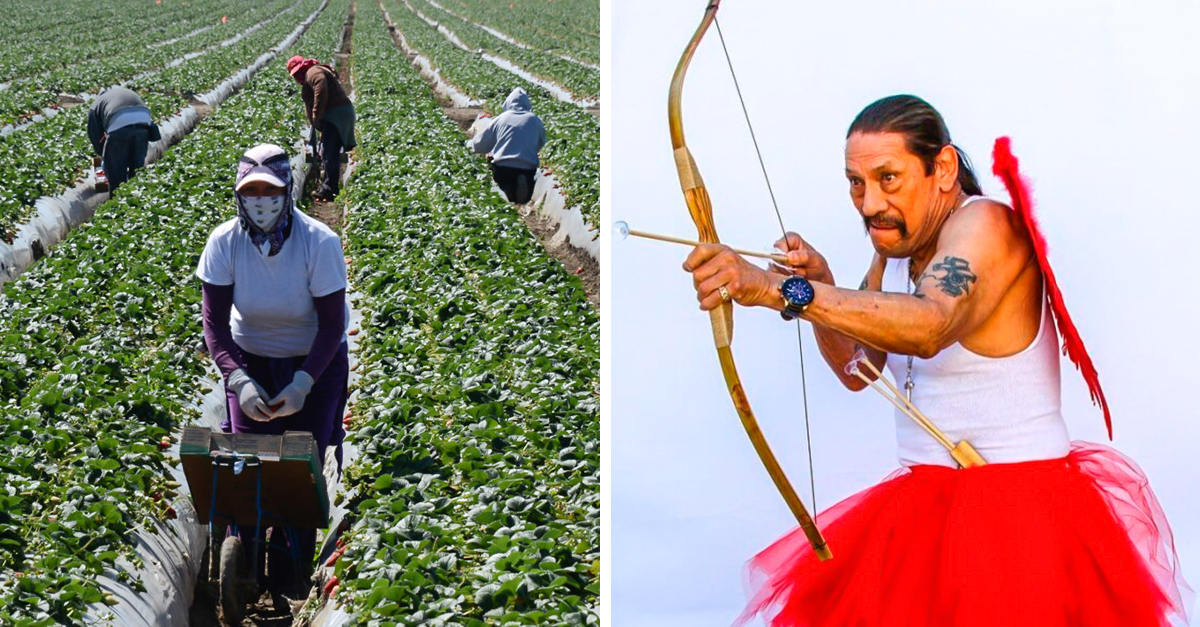 Danny Trejo aparece como el Cupido más rudo de todos